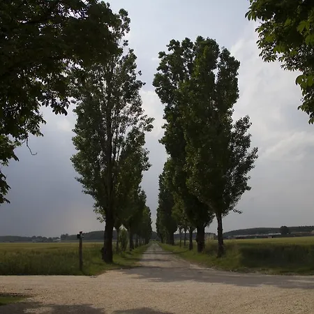 Inn Abbazia Di Valserena - Csac Parma